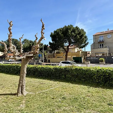 Climatise, Acces A 400m, Parking Prive, Animaux Acceptes - Fr-1-225-808 * Argeles-sur-Mer
