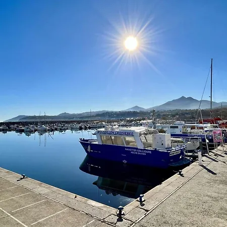 Climatise, Acces A 400m, Parking Prive, Animaux Acceptes - Fr-1-225-808 Argeles-sur-Mer